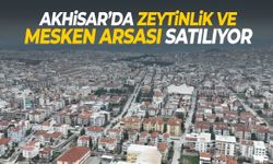 Akhisar’da zeytinlik ve mesken arsası satılıyor