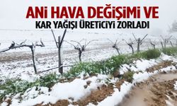 Ani hava değişimi ve kar yağışı ilçede üreticiyi zorladı!