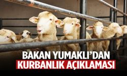 Bakan duyurdu: Satılamayan kurbanlıkları ESK alacak!