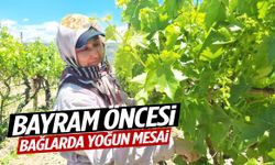 Bayram öncesi bağlarda yoğun mesai