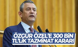 Özgür Özel’e 300 bin TL’lik tazminat kararı