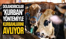 Dolandırıcılar 'kurban' yöntemiyle kurbanlarını buluyor!