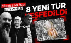 Ege Bölgesi'nde 8 yeni tür keşfedildi! Manisa'ya özel isim verildi...
