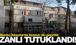 Alaşehir’de uyuşturucu operasyonu: 21 kök kenevir ele geçirildi