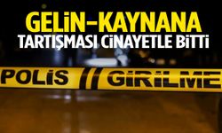 Gelin-kaynana tartışması cinayetle bitti