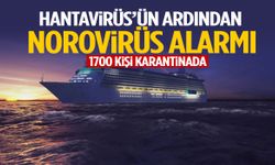 Hantavirüs’ün ardından Norovirüs! 1700 kişi karantinada