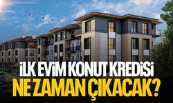 İlk evim konut kredisi ne zaman çıkacak? Konut kredisi şartları neler?