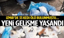 İzmir’de 33 kedi ölü bulunmuştu… Yeni gelişme yaşandı!