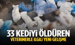 İzmir’de 33 kediyi öldüren veterinerle ilgili yeni gelişme
