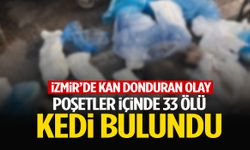 İzmir’de çöpteki poşetlerden 33 kedi ölüsü çıktı!