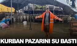 Turgutlu’yu sağanak vurdu… Kurbanlıklar suyun içinde kaldı!