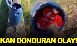 Mezarlıkta 21 cenin bulundu… Bir ilde kan donduran olay!