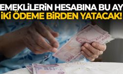 Emeklilerin hesabına bu ay iki ödeme birden yatacak!