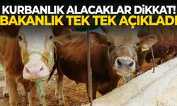 Kurbanlık alacaklar dikkat! Bakanlık tek tek açıkladı