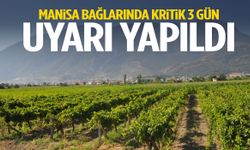 Manisa bağlarında kritik 3 gün… Uyarı yapıldı!