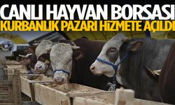 Canlı Hayvan Borsası Kurbanlık Pazarı hizmete açıldı
