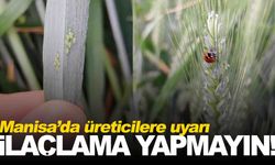 Manisa’da çiftçilere ‘ilaçlama yapmayın’ uyarısı!