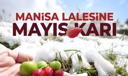 Manisa'da 2 mevsim tek karede