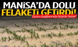 Manisa’da dolu felaketi… Üzüm bağlarında büyük hasar!