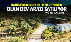 Manisa’da içinde çiftlik ve zeytinlik olan dev arazi satılıyor!