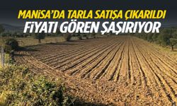 Manisa’da tarla satışa çıkarıldı! Fiyatı gören şaşırıyor