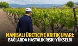 Manisalı üreticiye uyarı: Bağlarda hastalık riski yükseldi!