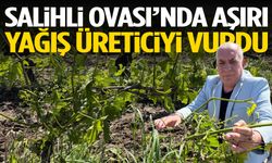 Salihli Ovası’nda aşırı yağış üreticiyi vurdu!