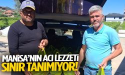 Manisa’nın acı lezzeti sınır tanımıyor!