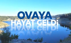 Sarıgöl Ovası'na hayat geldi