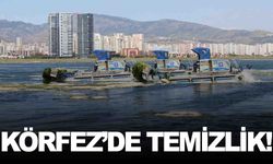 İzmir Körfezi’nde deniz marulu alarmı