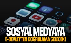 Sosyal medyaya e-Devlet'ten girilecek!