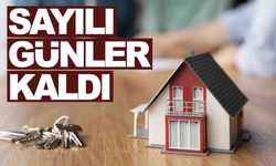Tapu sahipleri için kritik süreç: Ödemeyene gecikme faizi yolda
