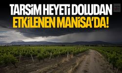 TARSİM heyeti doludan etkilenen Manisa'da!