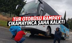 Tur otobüsü şaha kalktı
