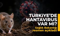 Türkiye'de Hantavirüs var mı? Sağlık Bakanlığı resmen açıkladı!