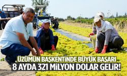 Üzümün başkenti Manisa’da büyük başarı: 8 ayda 321 milyon dolar gelir!