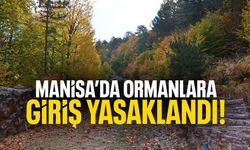 Valilik duyurdu: Manisa’da ormanlara giriş yasaklandı!