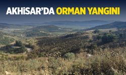 Akhisar'da orman yangını korkuttu!