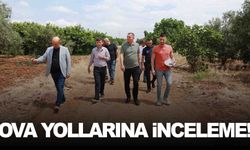 Başkan Şimşek ova yollarını inceledi... Hasat sezonu öncesinde bakım var