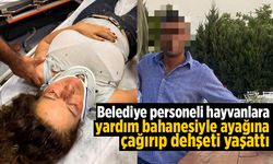 Belediye personeli hayvanlara yardım bahanesiyle ayağına çağırıp dehşeti yaşattı