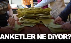 Bu Pazar seçim olsa hangi partiye oy verirsiniz? Asal’dan dikkat çeken araştırma!