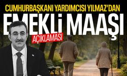 Cumhurbaşkanı Yılmaz'dan 'emekli' açıklaması