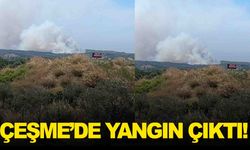 Çeşme’de çöplük yangını ormana sıçradı!