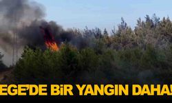 Ege’den ardı ardına yangın haberleri... Bu kez Muğla’da çıktı!