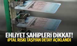Ehliyet sahipleri dikkat! İptal riski taşıyan detay açıklandı