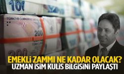 Emekli zammı ne kadar olacak? Uzman isim kulis bilgisini paylaştı!