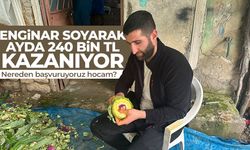 Enginar soyarak ayda 240 bin TL kazanıyor