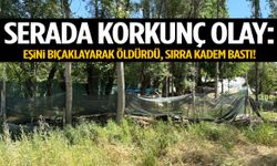 Serada dehşet: Eşini bıçaklayarak öldürüp sırra kadem bastı!