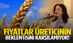 Fiyatlar üreticinin beklentisini karşılamıyor!