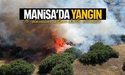 Manisa'da orman yangını korkuttu!
